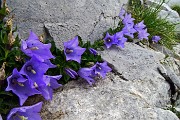 PIZZO ARERA il mattino, concerto del Bepi & The Prismas il pomeriggio al Rifugio Capanna 2000 il 26 luglio 2015 - FOTOGALLERY